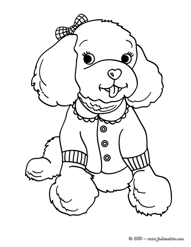 coloriage chien chat imprimer