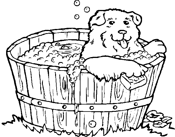 coloriage chien et chiot