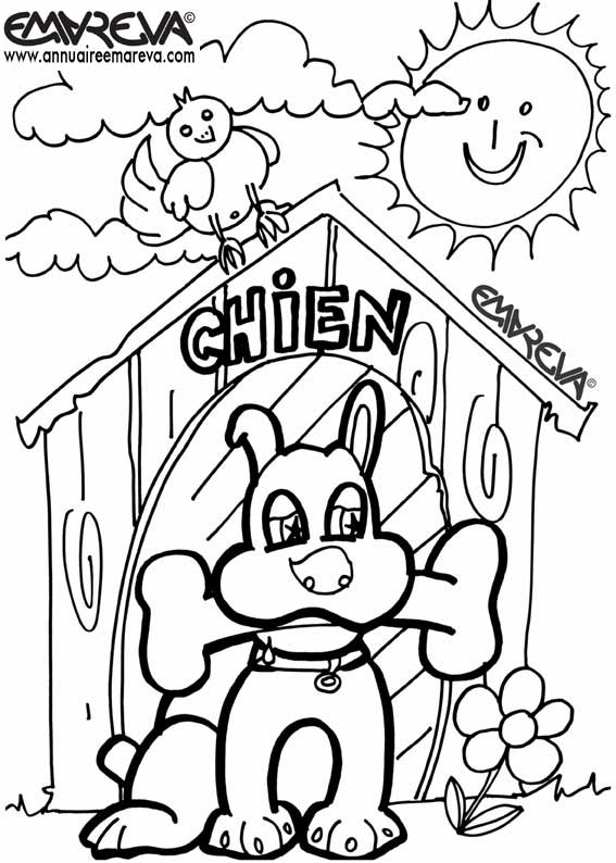 coloriage chien et chat