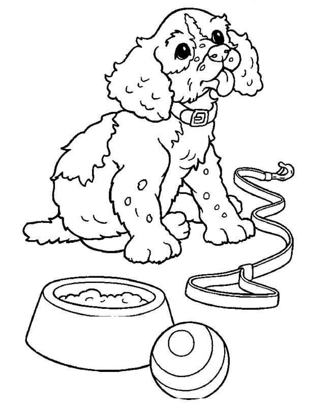 coloriage chien griffon