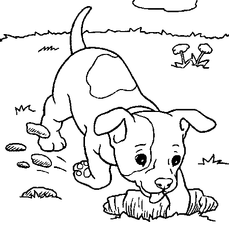 coloriage chien qui court