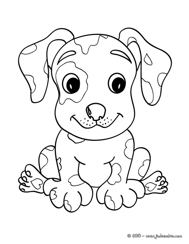 coloriage a imprimer chien jack russel