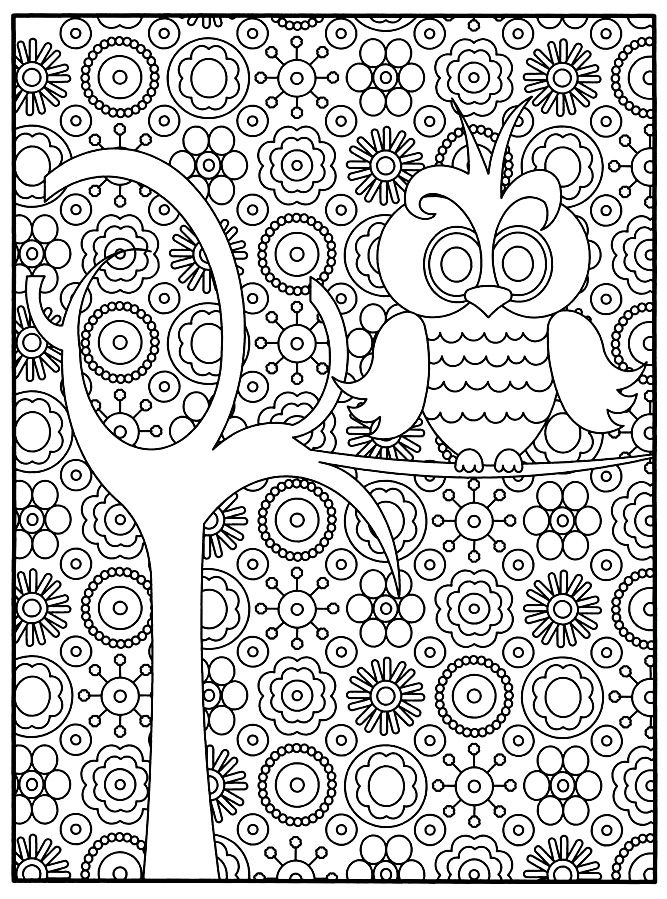 coloriage chouette