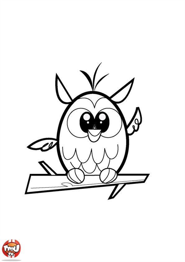 dessin a colorier chouette hibou