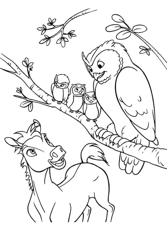 coloriage à dessiner chouette imprimer gratuit