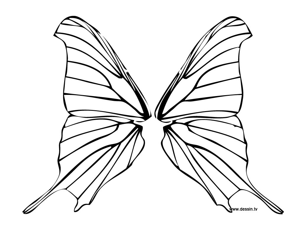 Voir le dessin