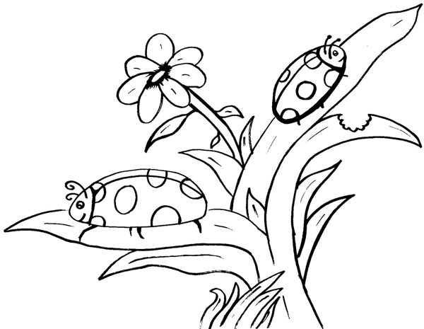 124 Dessins De Coloriage Coccinelle à Imprimer