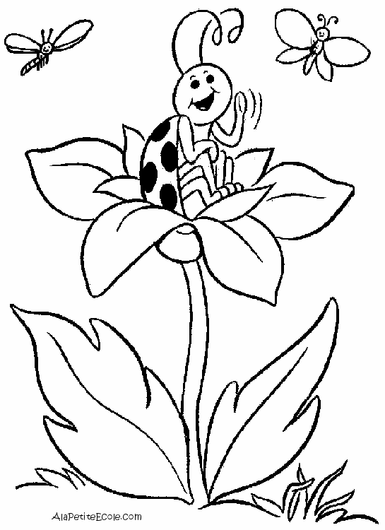 dessin a colorier fleur avec coccinelle