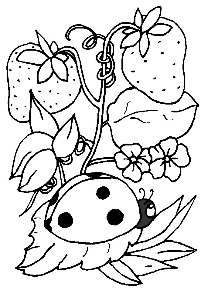 124 dessins de coloriage Coccinelle à imprimer