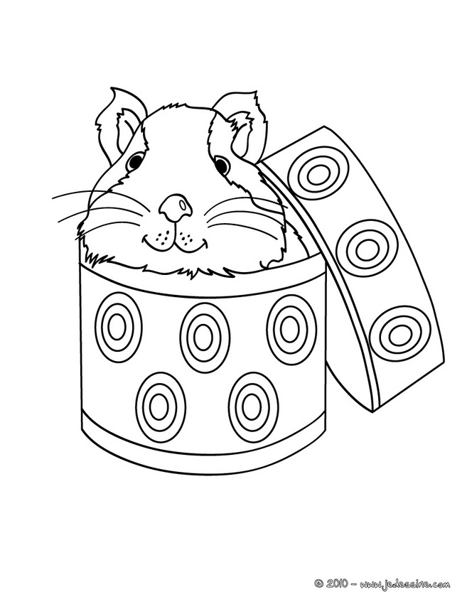 19 dessins de coloriage Cochon D inde à imprimer coloriage cochon dinde