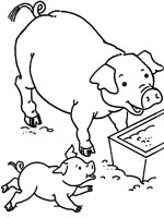 dessin a imprimer petit cochon