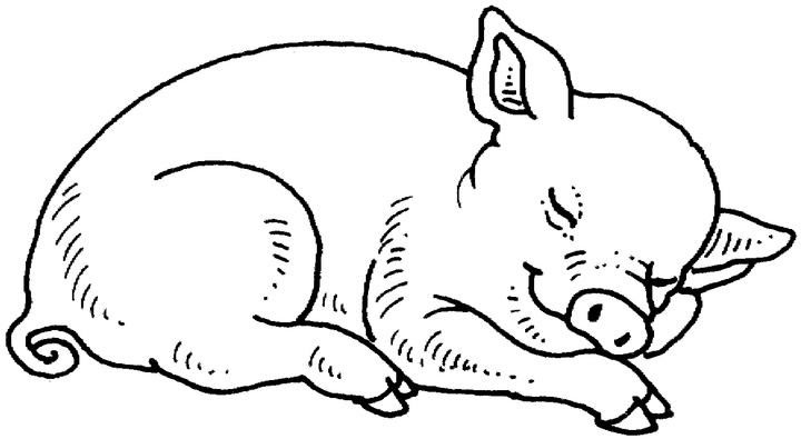 clipart cochon rose - photo #41