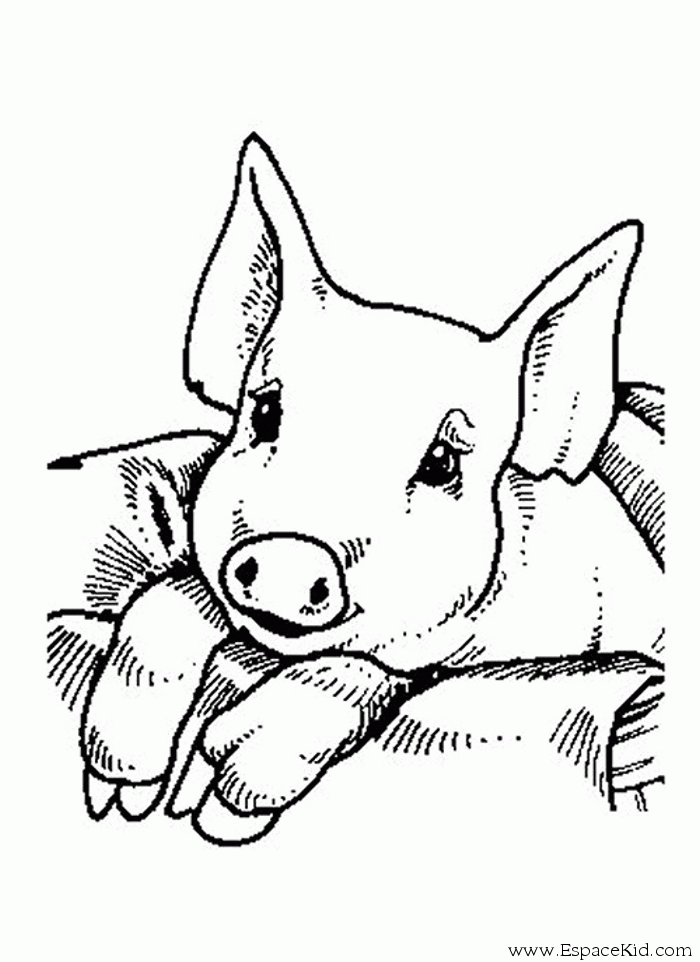 dessin cochon à imprimer