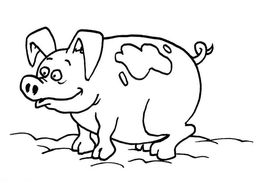 dessin cochon dans la boue