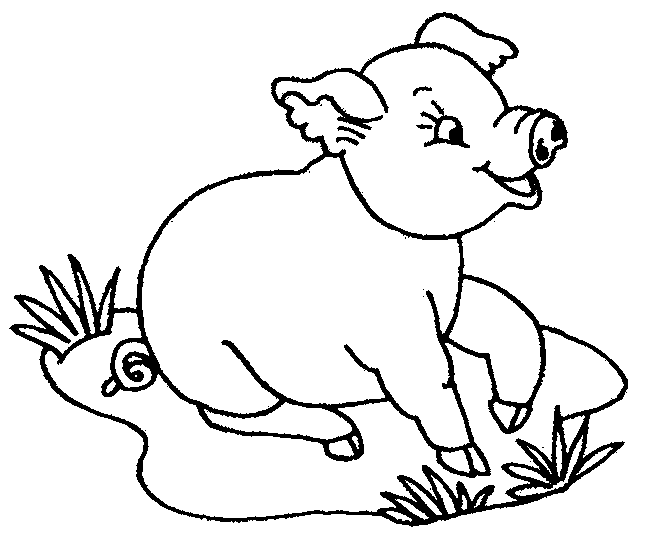 coloriage bebe cochon