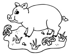 dessin cochon d'inde gratuit ligne
