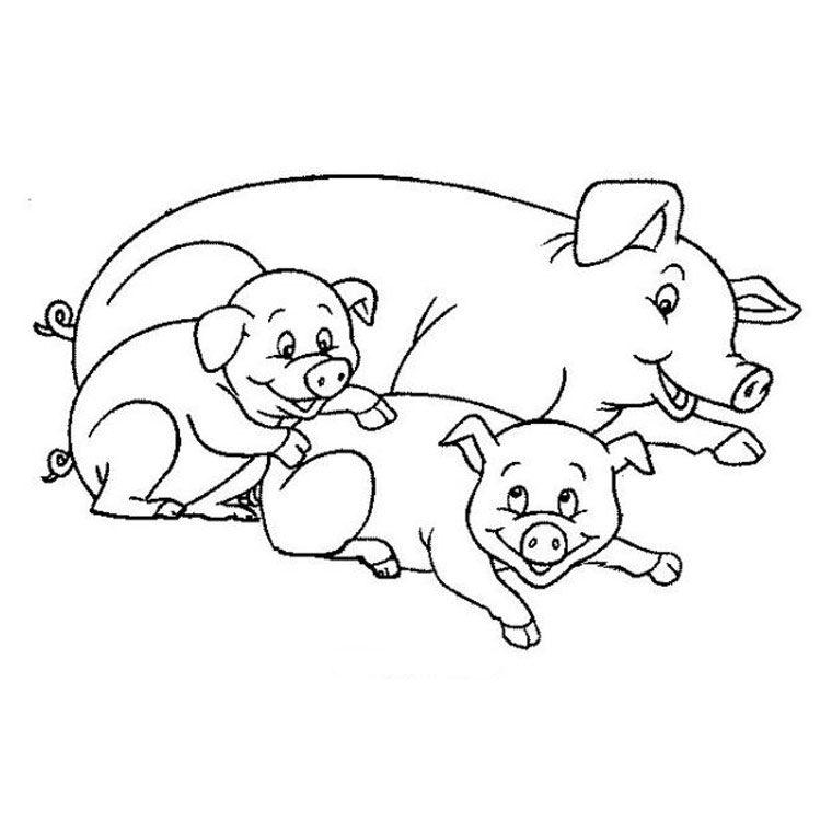dessin à colorier babe le cochon