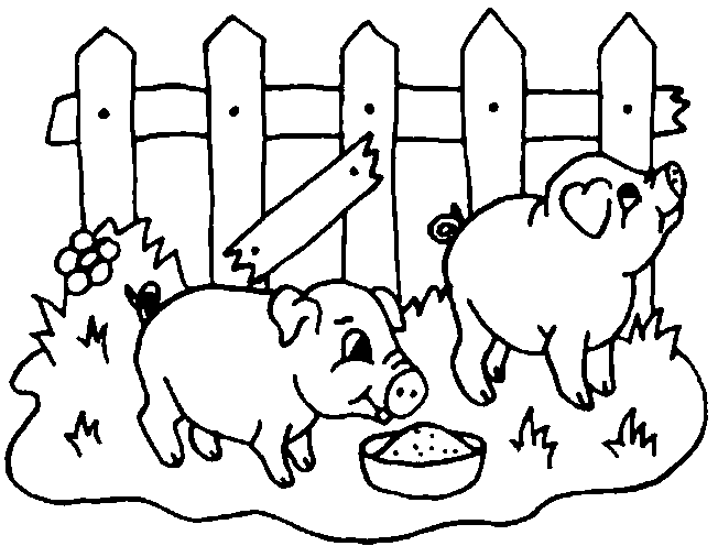 dessin petit cochon imprimer