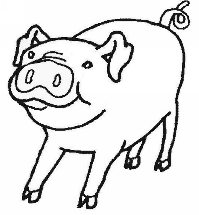 coloriage  dessiner cochon d'inde gratuit