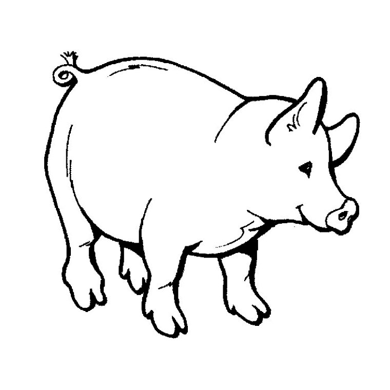 coloriage à imprimer cochon