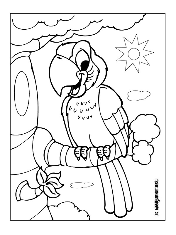 coloriage noix de coco
