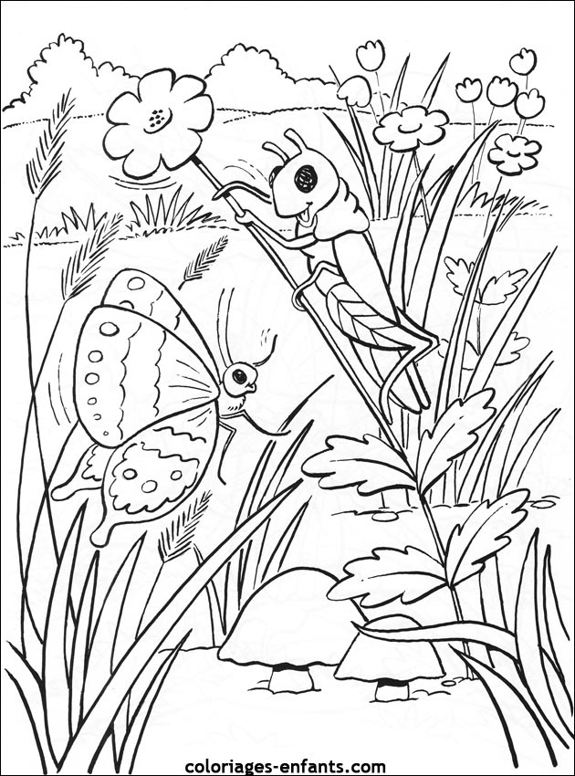 20 dessins de coloriage Cocon Chenille à imprimer