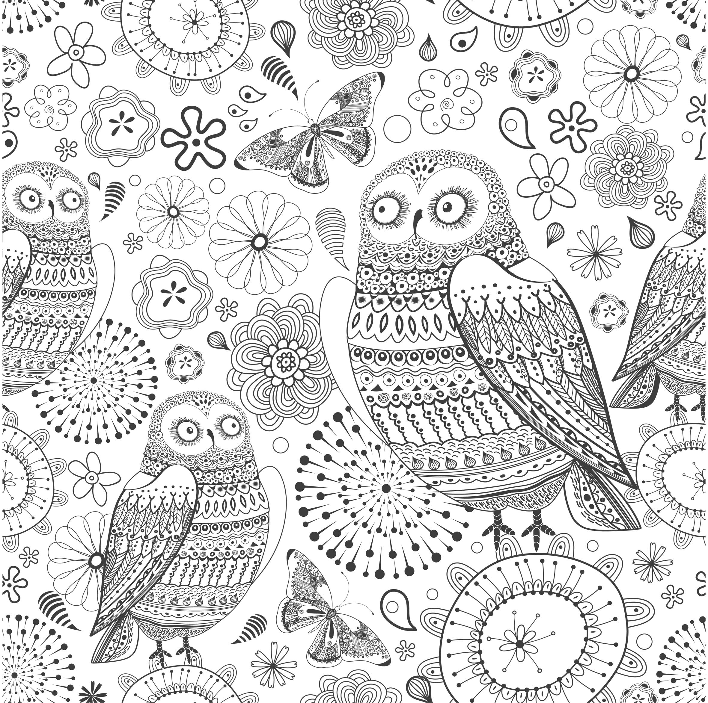 les coloriage   dessiners anti stress