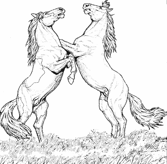 coloriage cheval ailé imprimer