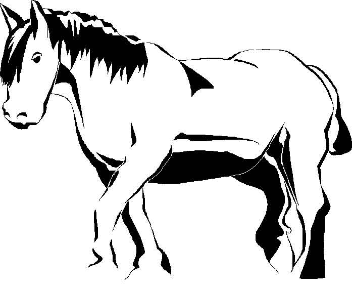 coloriage cheval qui galope