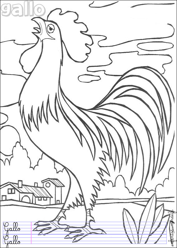 coloriage à dessiner coq imprimer
