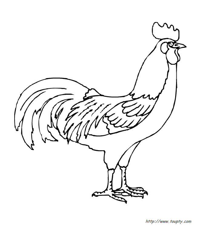 dessin à colorier coq