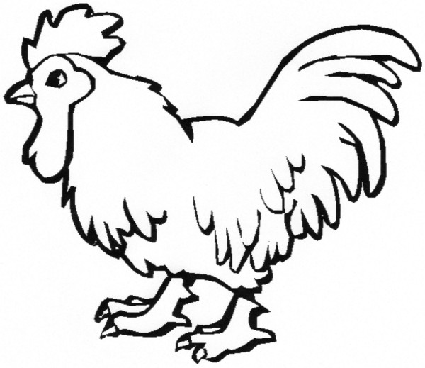 dessin coq wallon