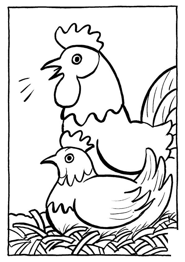 un coq coloriage à dessiner