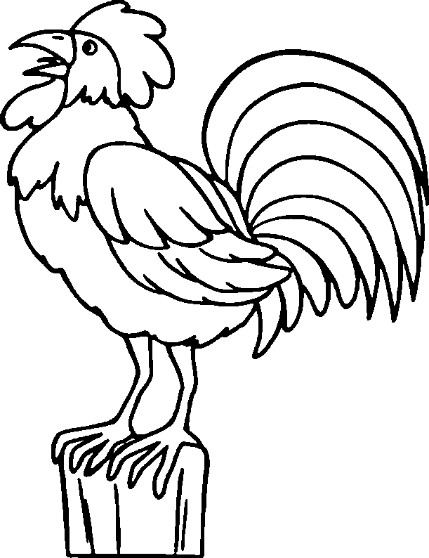 coloriage coq