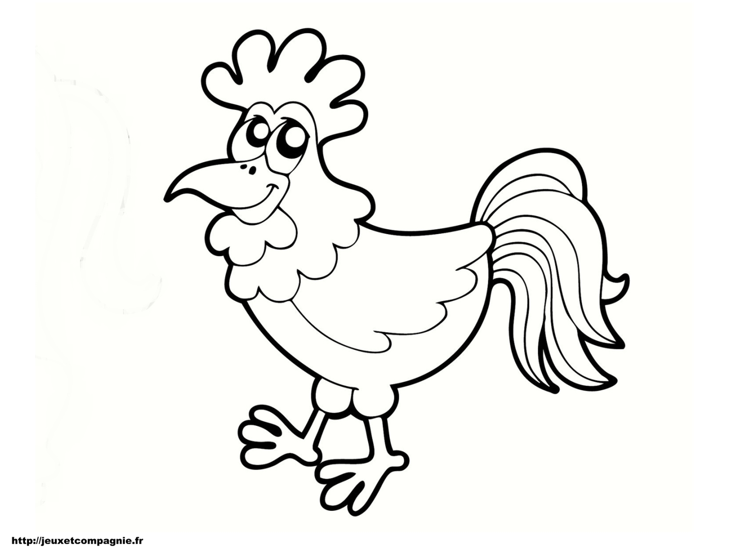 dessin coq à imprimer