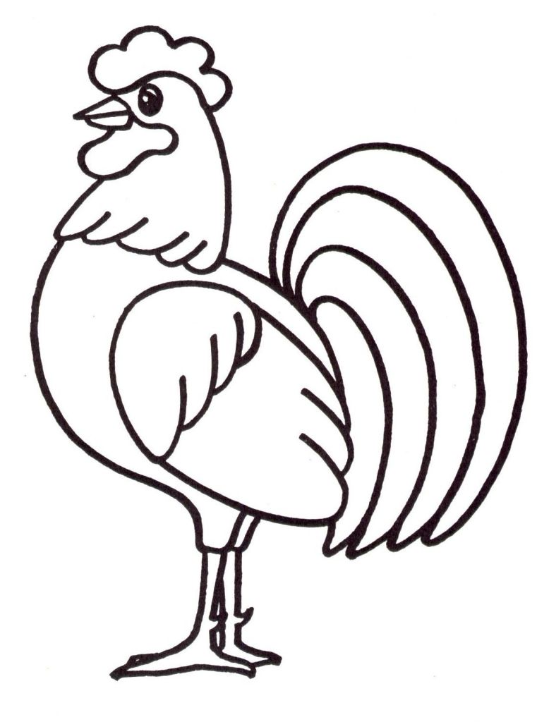 coq en dessin