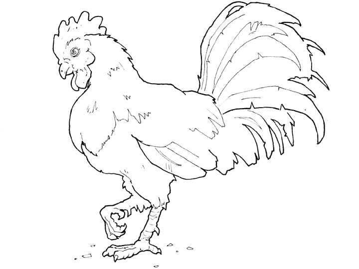 Dessin A Colorier Le Coq Et Le Renard
