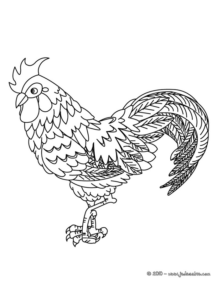 dessin à colorier à imprimer coq
