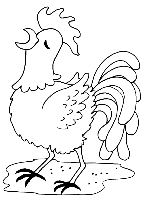dessin à colorier coq imprimer