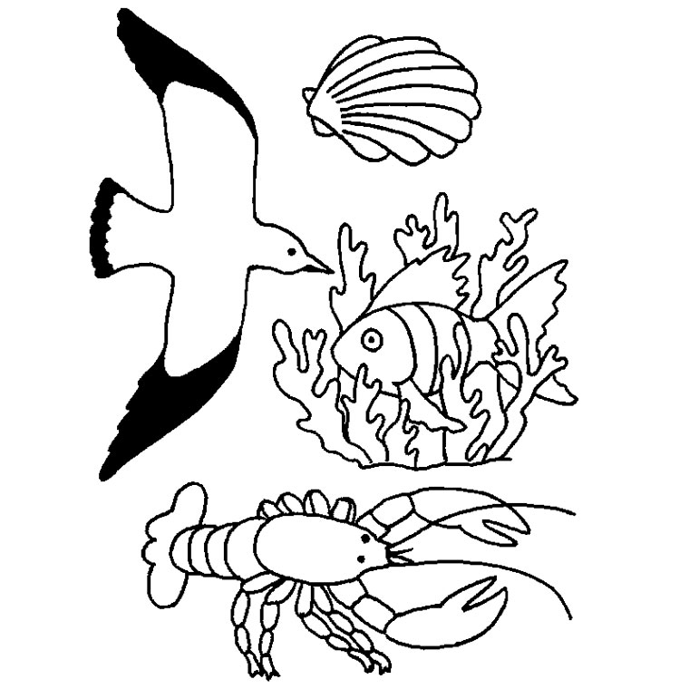 19 dessins de coloriage Coquillage De Mer à imprimer