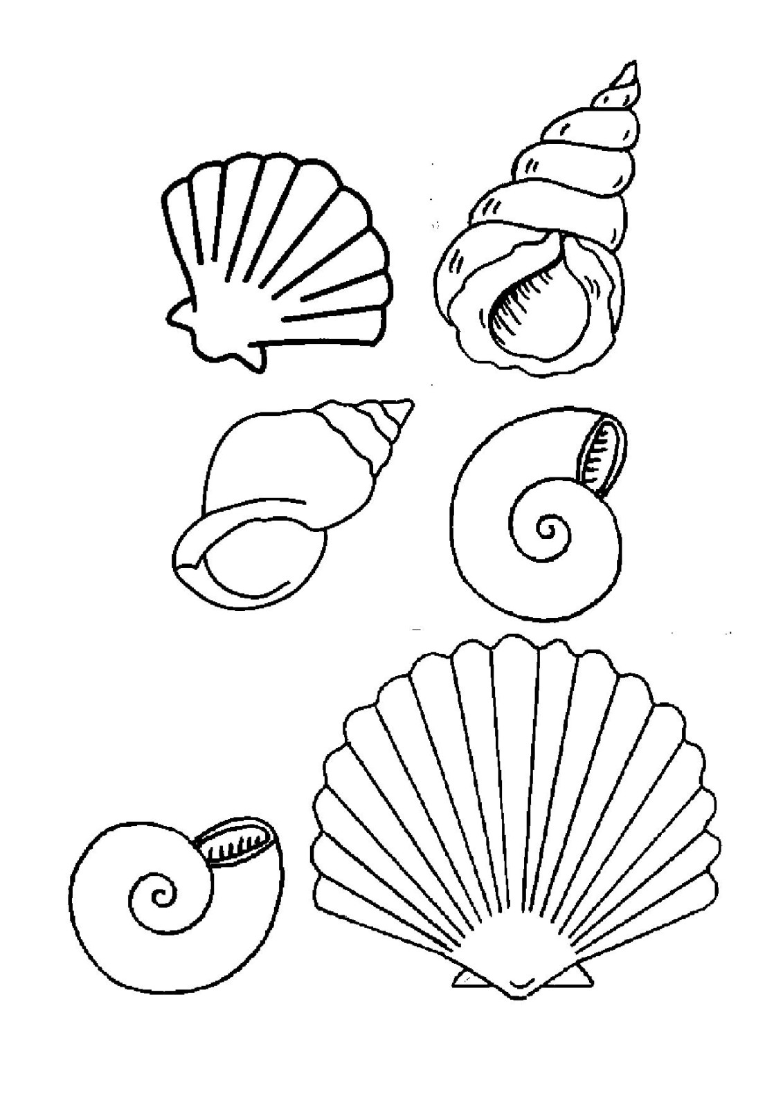 Dessus Coloriage Coquillage De Mer