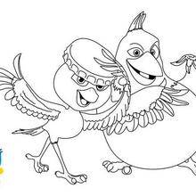 coloriage corneil et bernie a imprimer gratuit