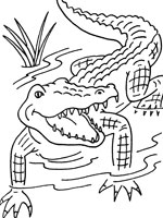 dessin à colorier pokemon crocodile