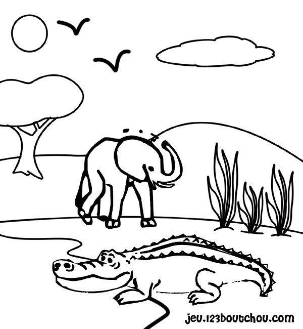 coloriage crocodile page