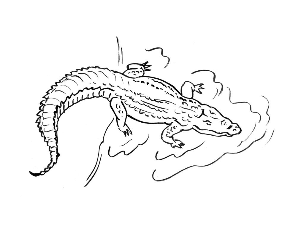 coloriage à dessiner à imprimer crocodile