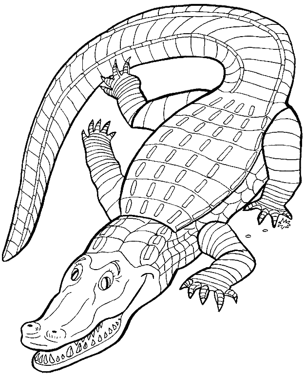crocodile en dessin
