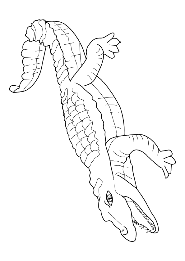 coloriage à dessiner bébé crocodile