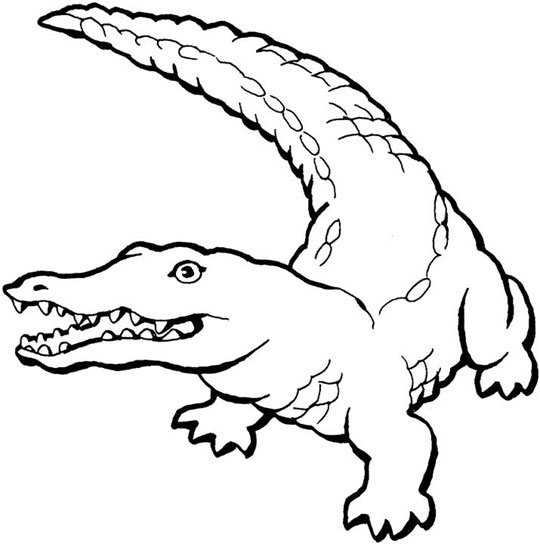 coloriage à dessiner crocodile du nil