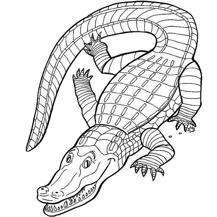 dessin à colorier crocodile à imprimer