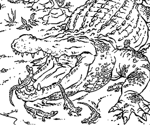 dessin à colorier crocodile et serpent